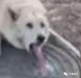 舔狗带你吃瓜,带你走进吃瓜群众的狂欢世界